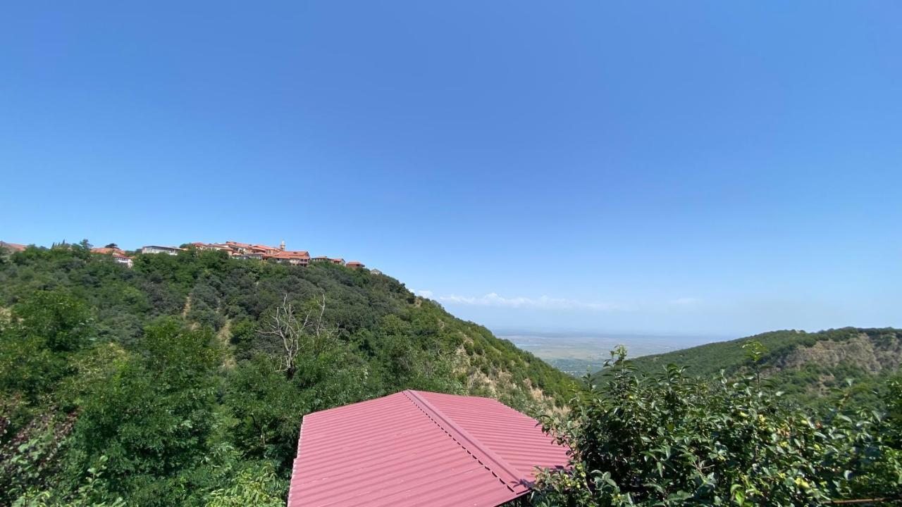 Lia'S Guest House ซิคนาคี ภายนอก รูปภาพ